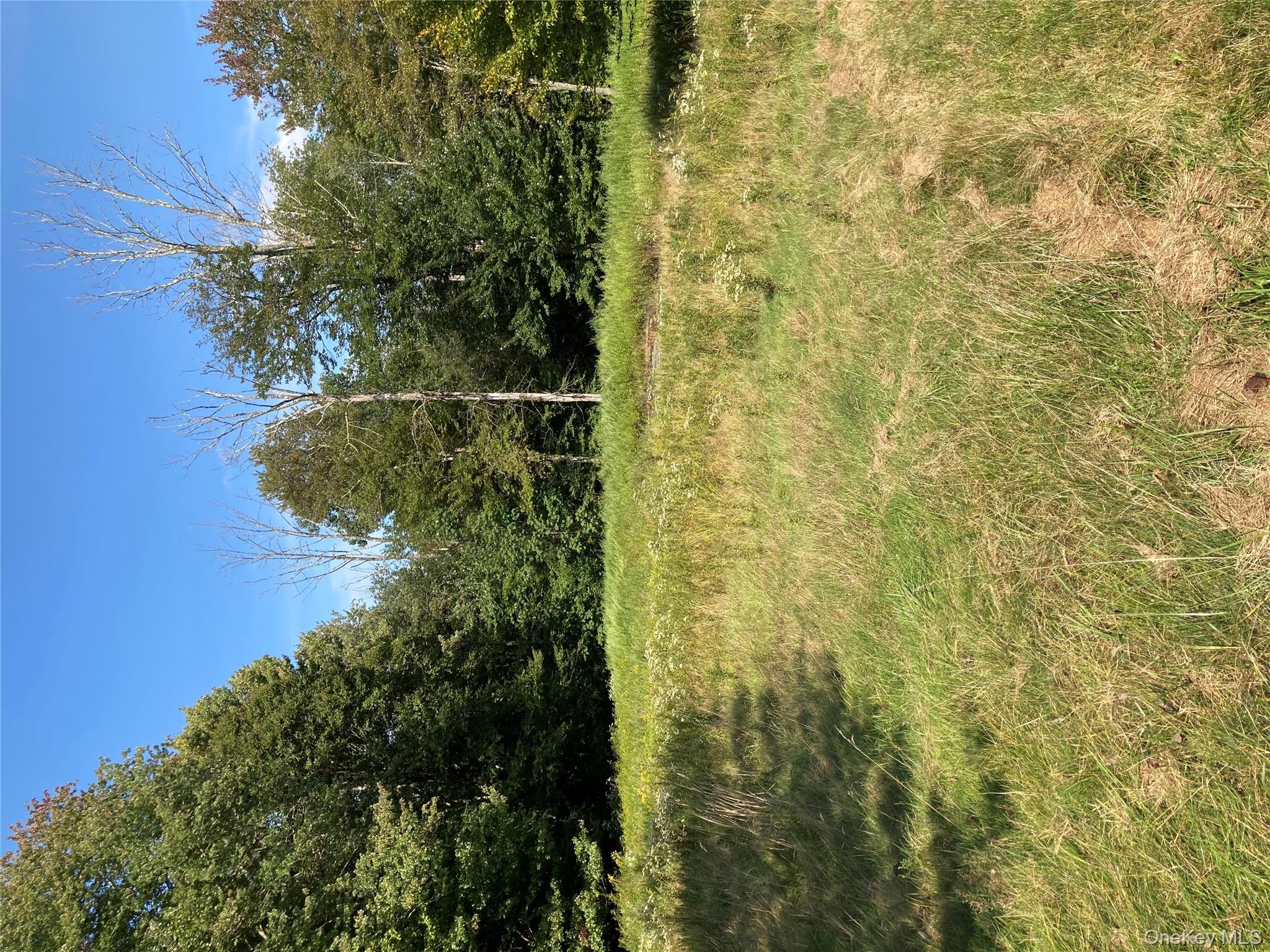 699 Budd Road Woodbourne, NY 12788 - Photo 3 of 11 a yard with trees in the background