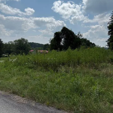 a view of a lush green forest