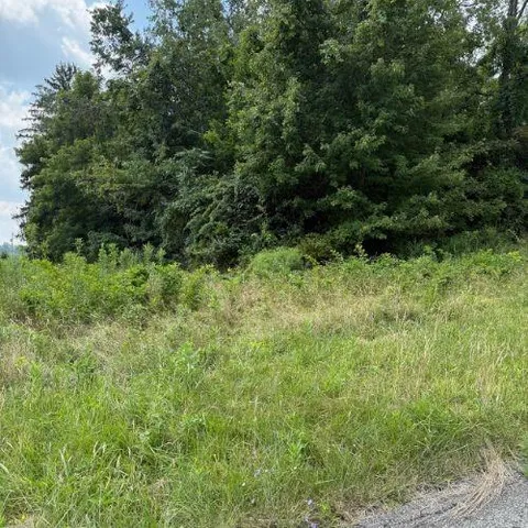 a view of backyard with green space
