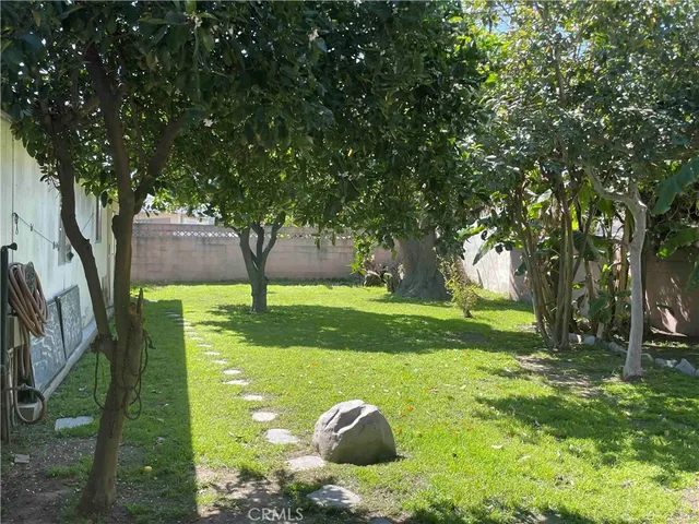 a view of a garden with large trees