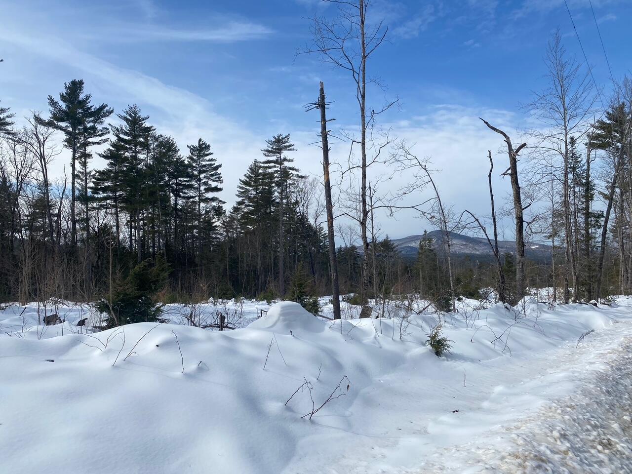 Lot 2 Chase Road Parsonsfield, ME 04047 - Photo 1 of 14 IMG_8471