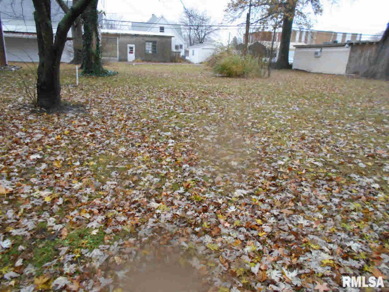 132 West 3rd Street Flora, IL 62839 - Photo 49 of 50