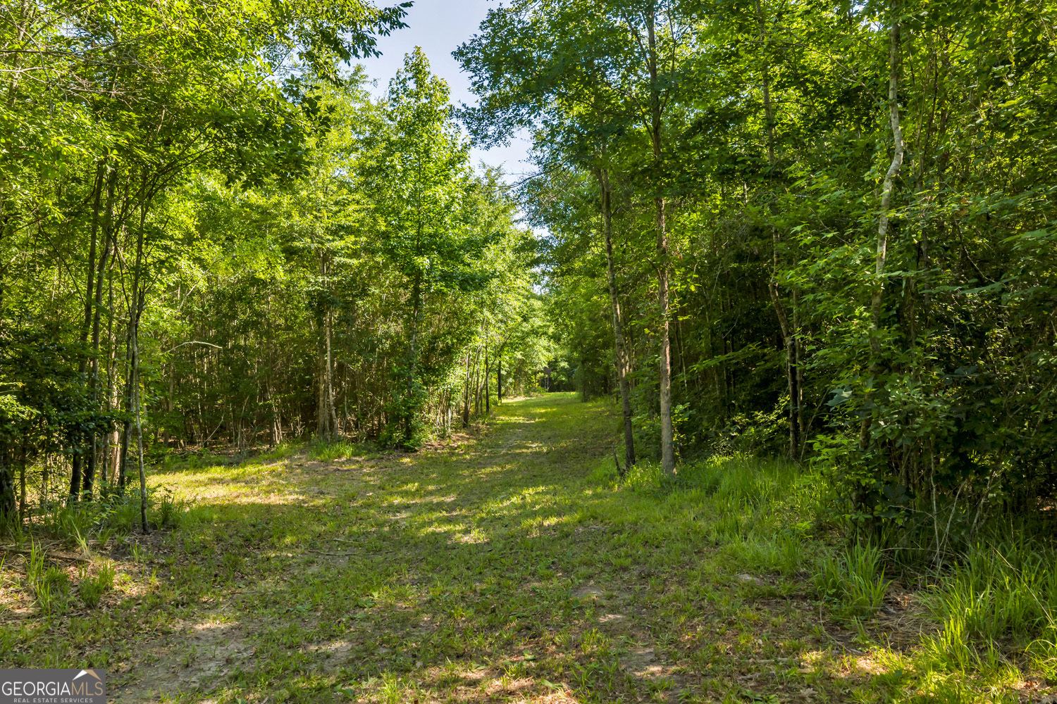 651 Branan Road Toomsboro, GA 31090 - Photo 49 of 53