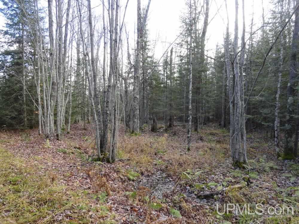6784 32nd Road Rapid River, MI 49878 - Photo 9 of 36 Gallery Image 9