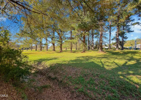 a view of a field with trees
