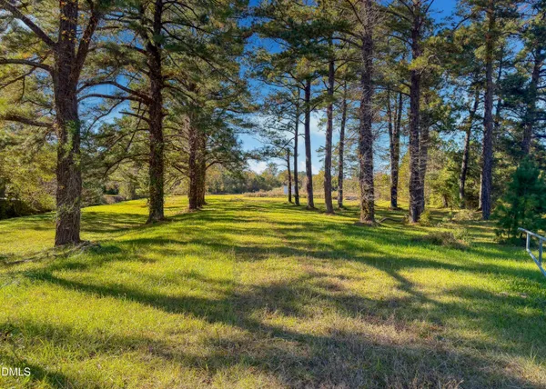 a view of swimming pool with trees and grass