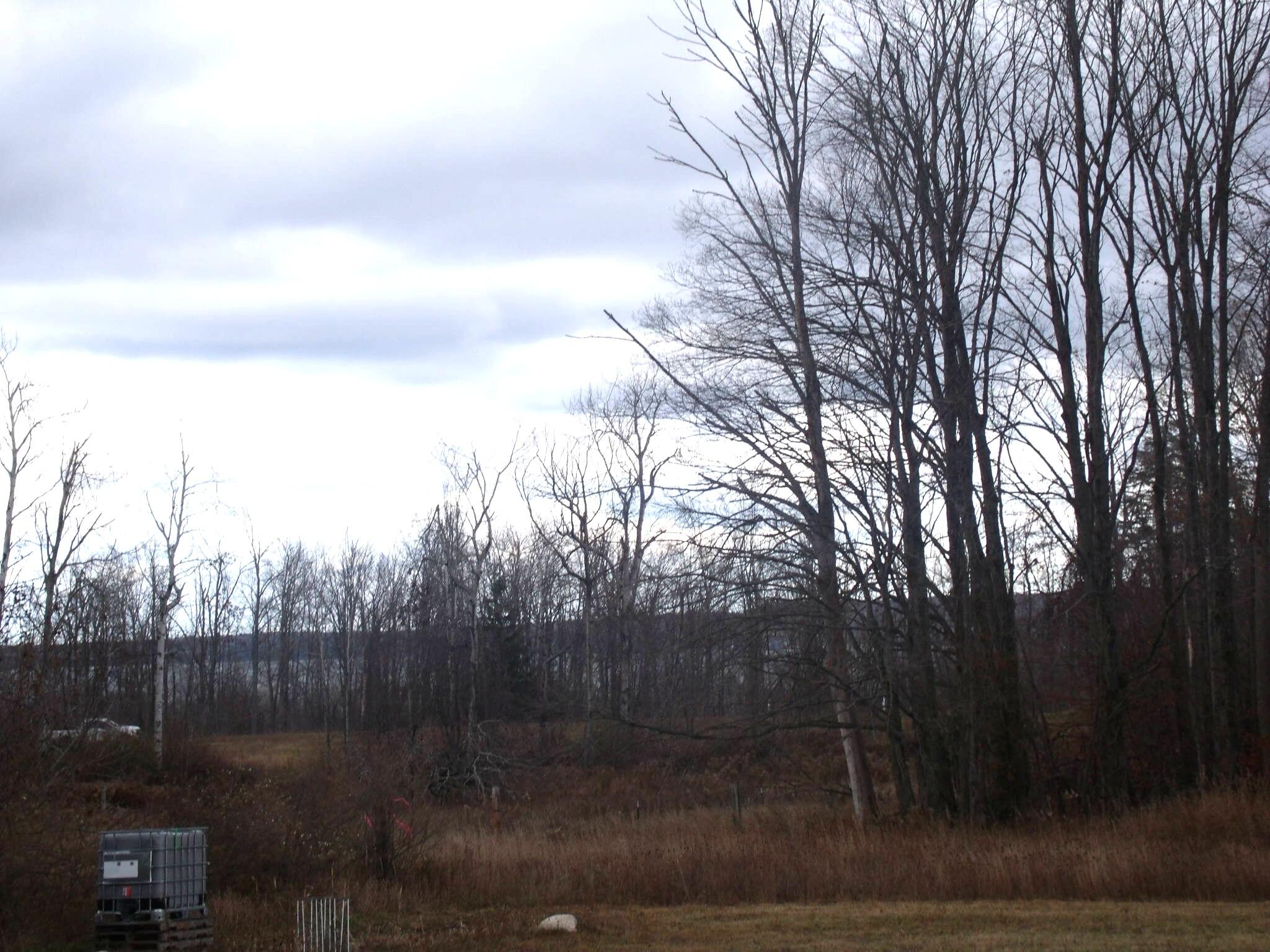 2327 Mcmichael Road Alanson, MI 49706 - Photo 4 of 14 GEDC3947