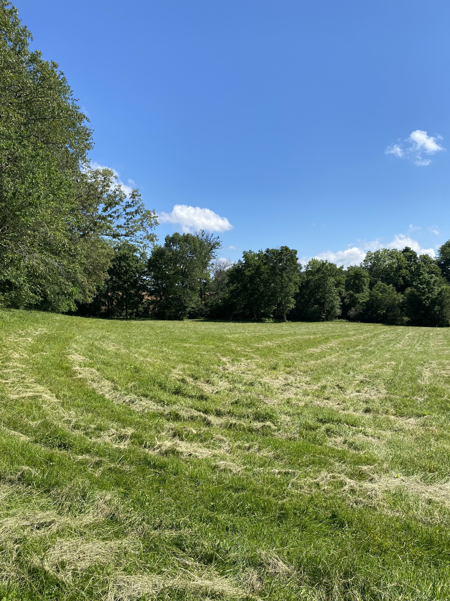 997 Magness Road Smithville, TN 37166 - Photo 3 of 10 Gallery Image 3
