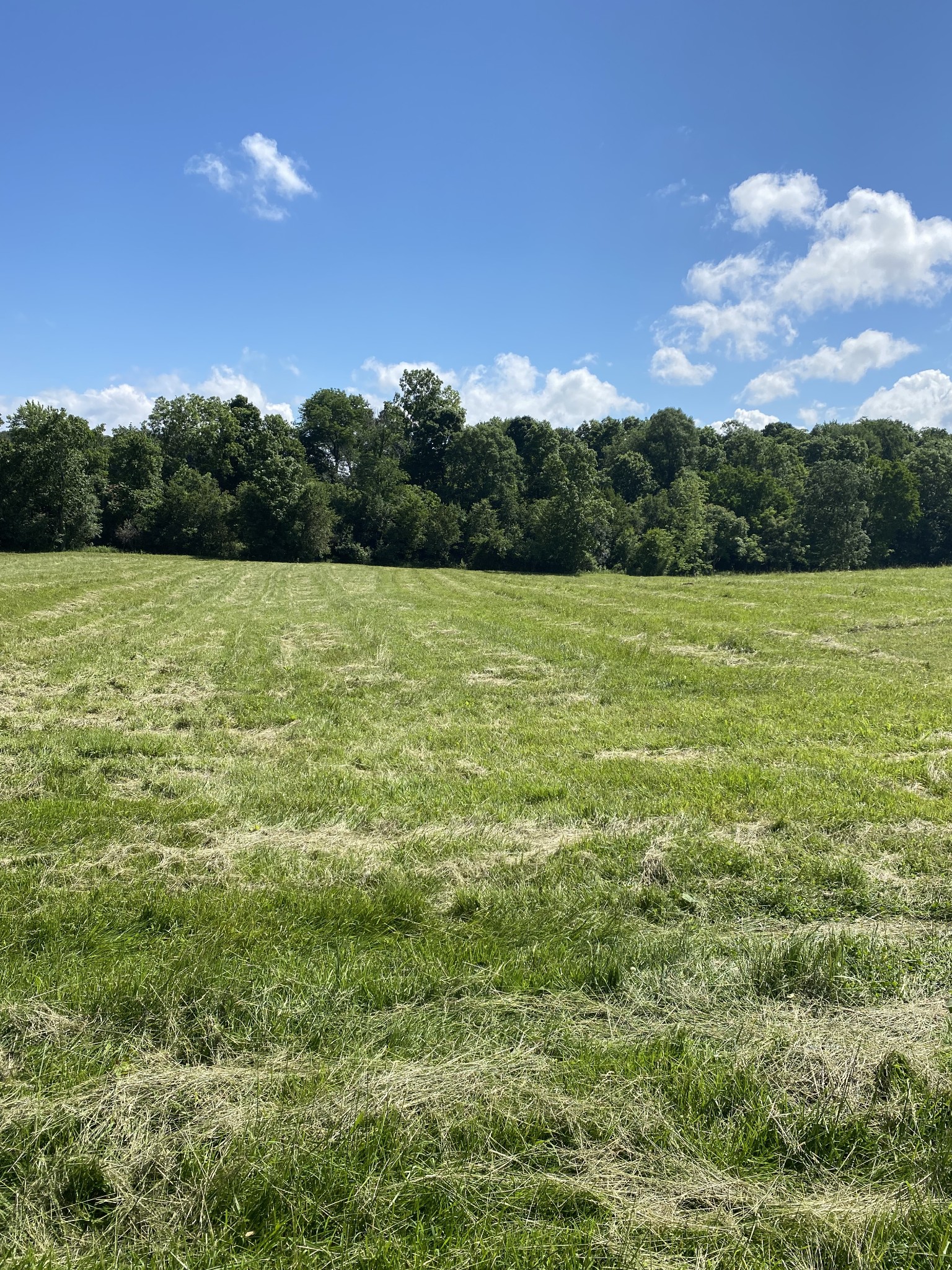 997 Magness Road Smithville, TN 37166 - Photo 5 of 10 Gallery Image 5