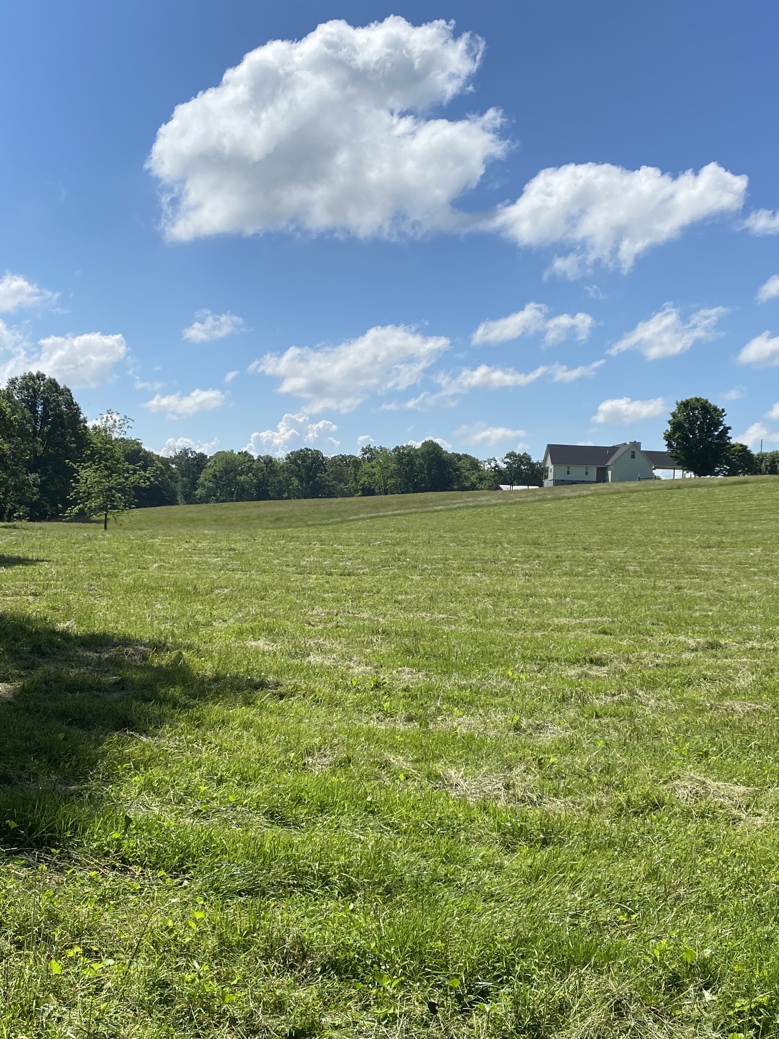 997 Magness Road Smithville, TN 37166 - Photo 7 of 10 Gallery Image 7