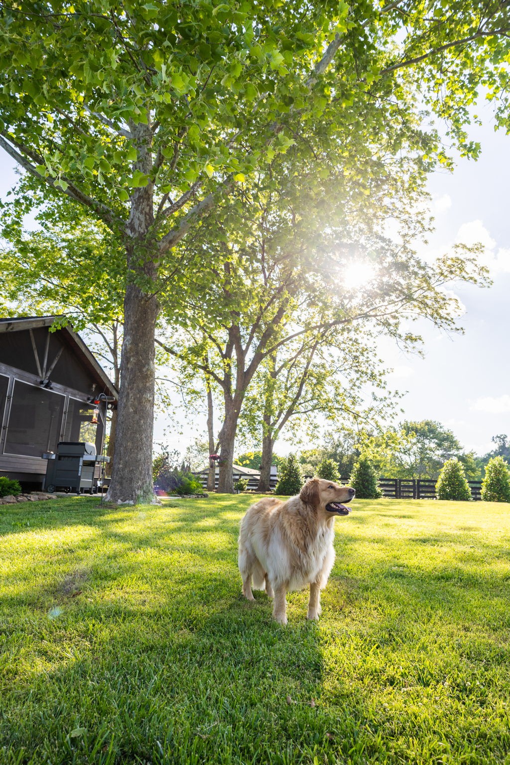 1496 Coleman Road Franklin, TN 37064 - Photo 40 of 73