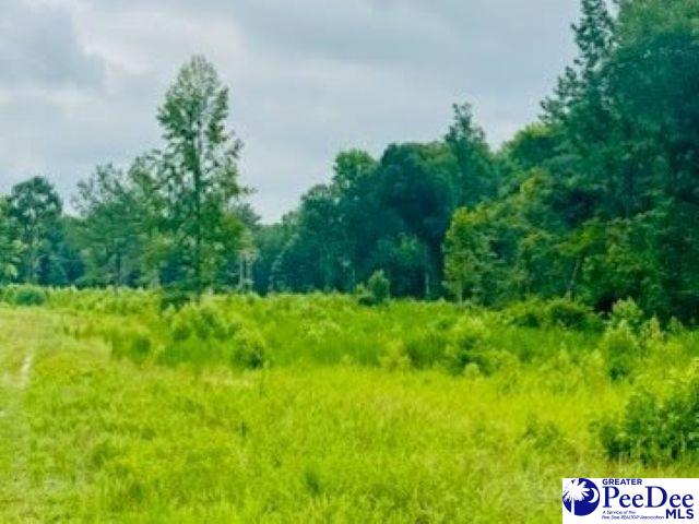 0 Santa Anita Road Cheraw, SC 29520 - Photo 1 of 9 Gallery Image 1