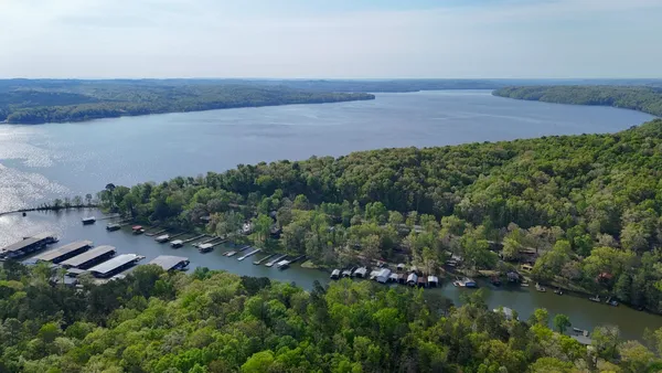a view of a bunch of trees and bushes