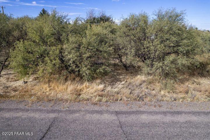 20872 East Cortez Road Mayer, AZ 86333 - Photo 10 of 10 a view of a yard with a tree