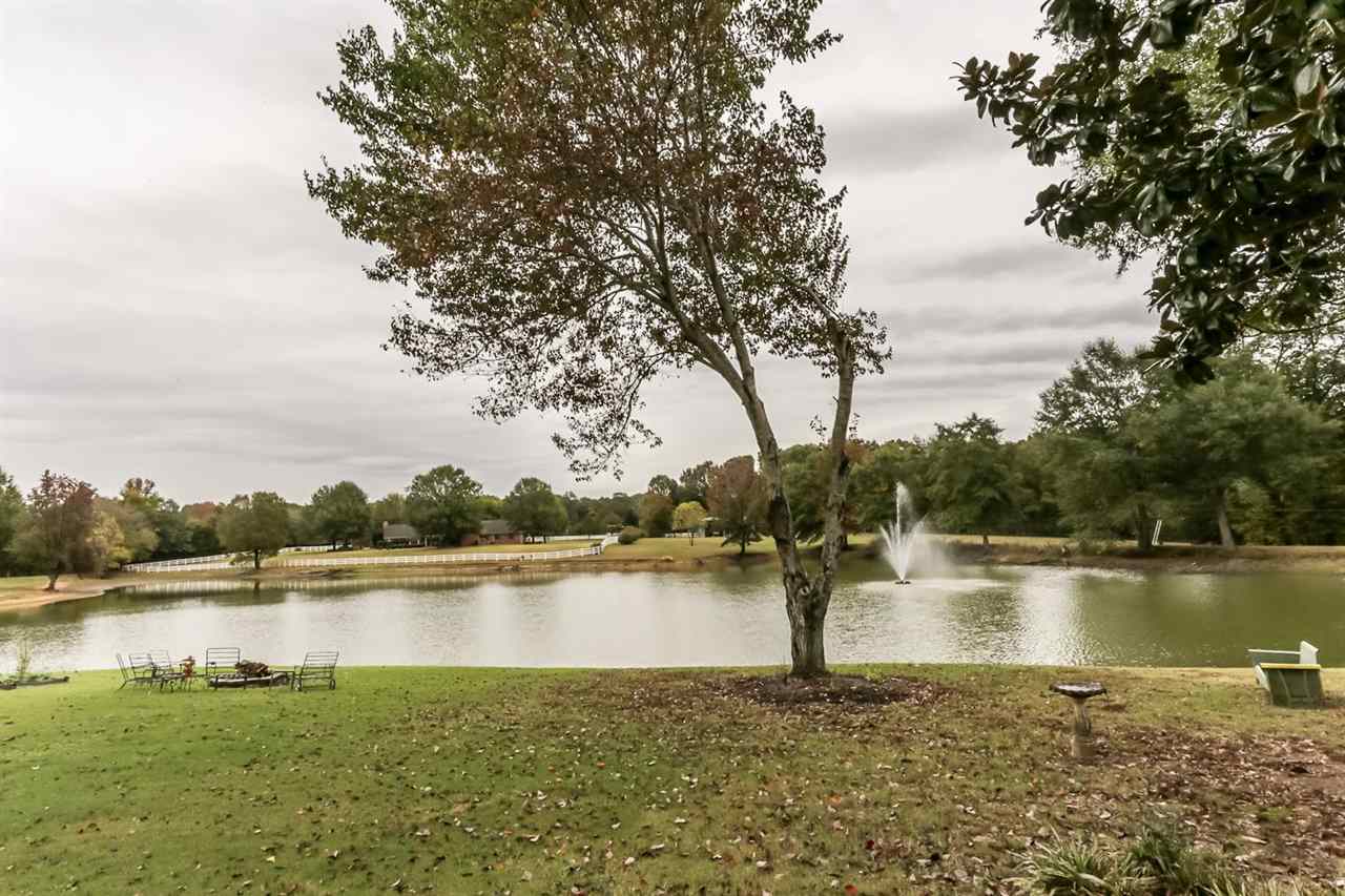 6092 Ricks Road Arlington, TN 38002 - Photo 23 of 25 Gallery Image 23