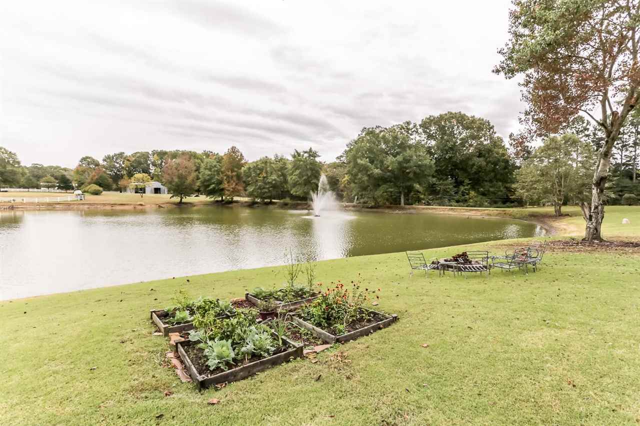 6092 Ricks Road Arlington, TN 38002 - Photo 4 of 25 Gallery Image 4