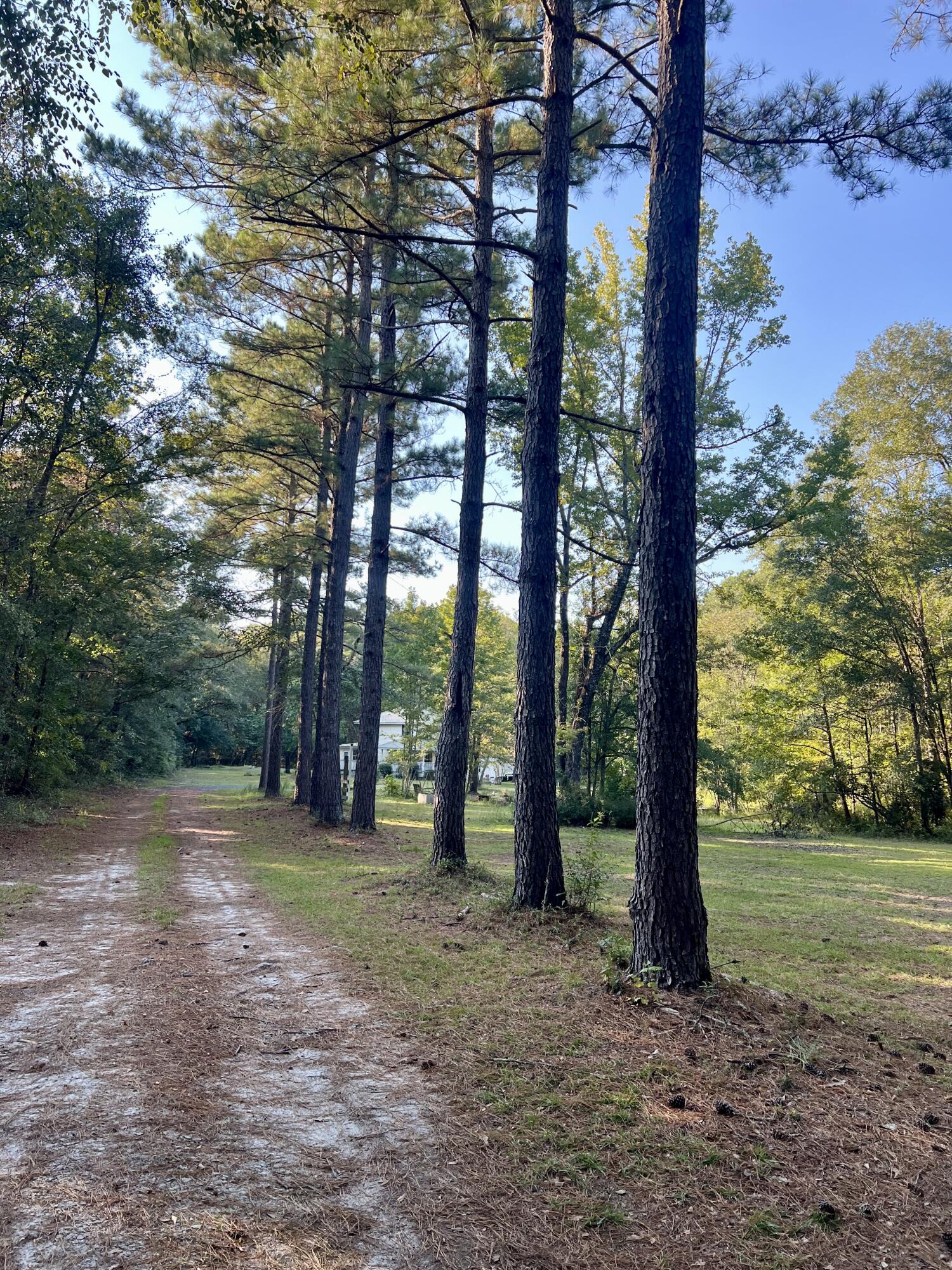 2401 Cannon Road Round O, SC 29474 - Photo 46 of 56 IMG_4173