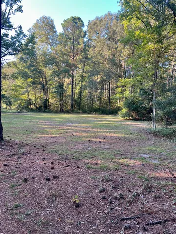 $445,000 | 2401 Cannon Road, Round O, SC 29474