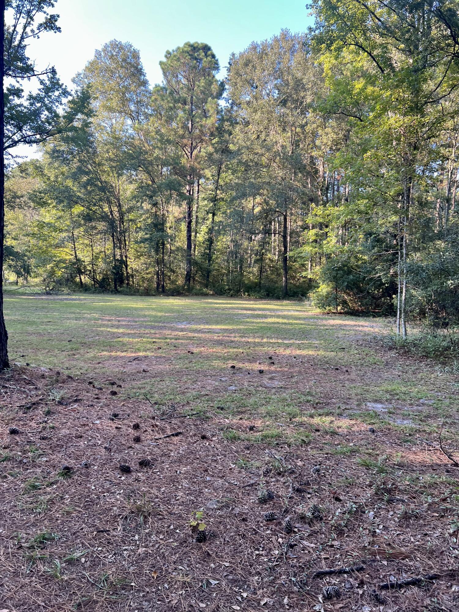 2401 Cannon Road Round O, SC 29474 - Photo 51 of 56 IMG_4174