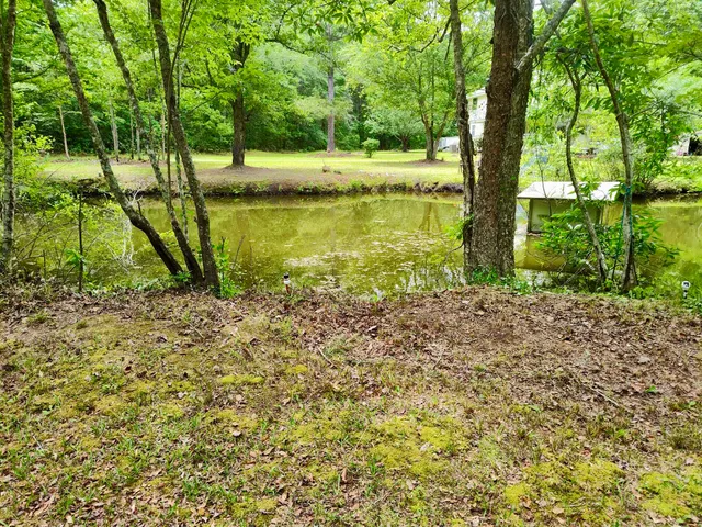 $445,000 | 2401 Cannon Road, Round O, SC 29474