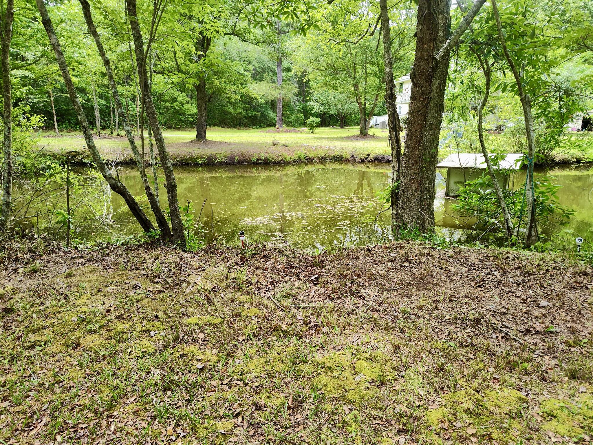 2401 Cannon Road Round O, SC 29474 - Photo 10 of 56 3604430540564267152