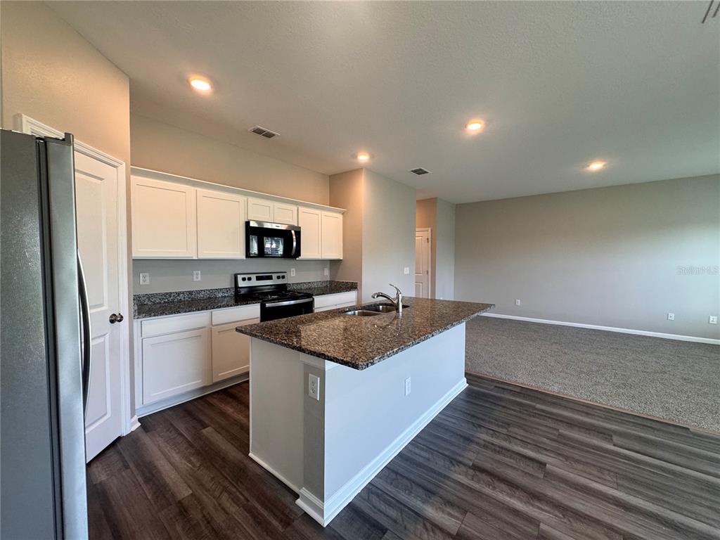 1022 Kelly Fern Loop Ruskin, FL 33570 - Photo 11 of 68