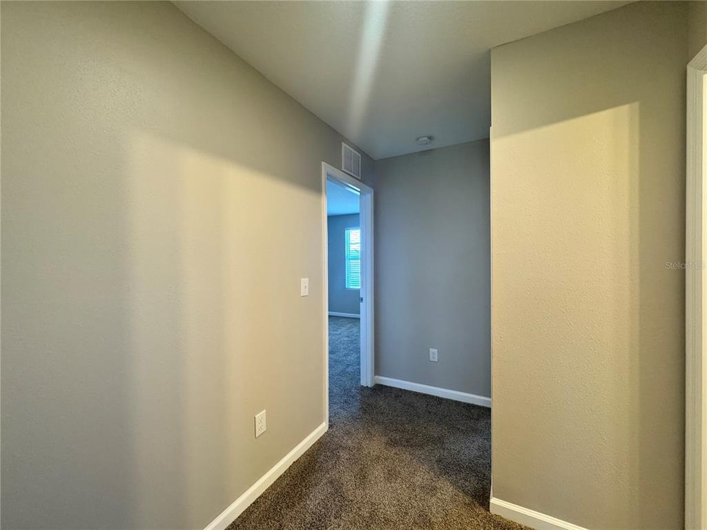 1022 Kelly Fern Loop Ruskin, FL 33570 - Photo 44 of 68