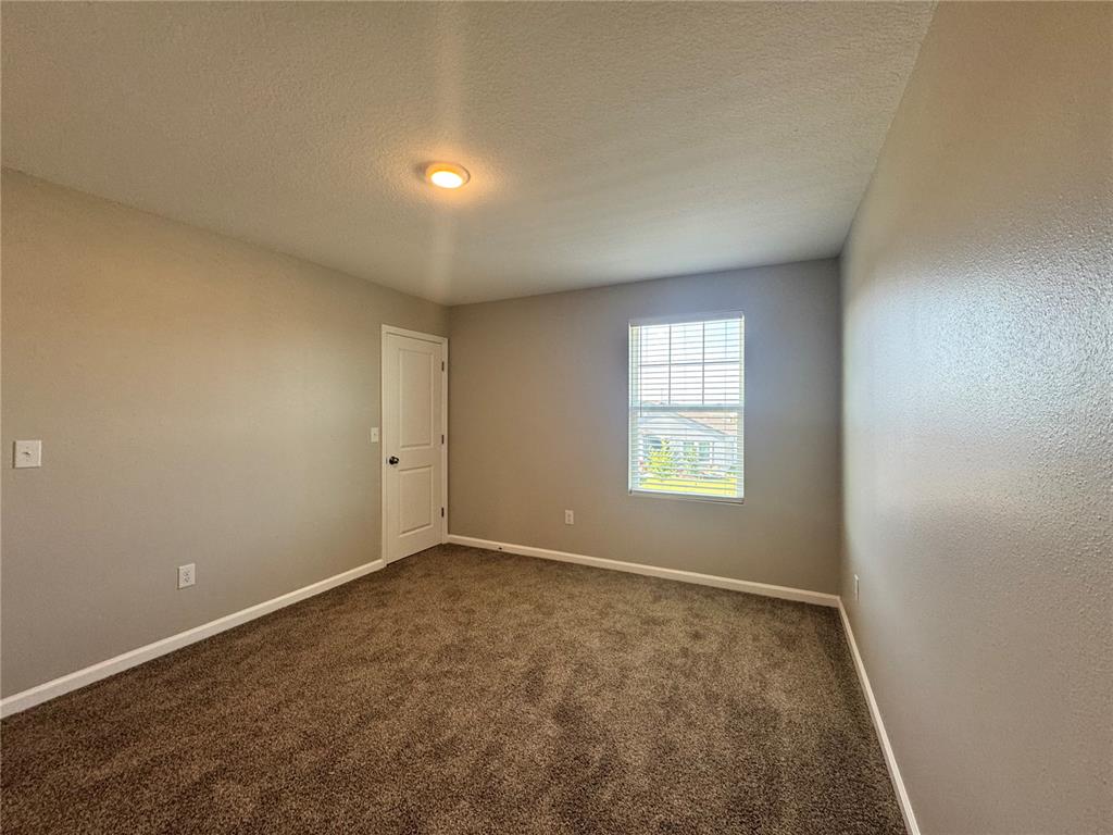 1022 Kelly Fern Loop Ruskin, FL 33570 - Photo 53 of 68