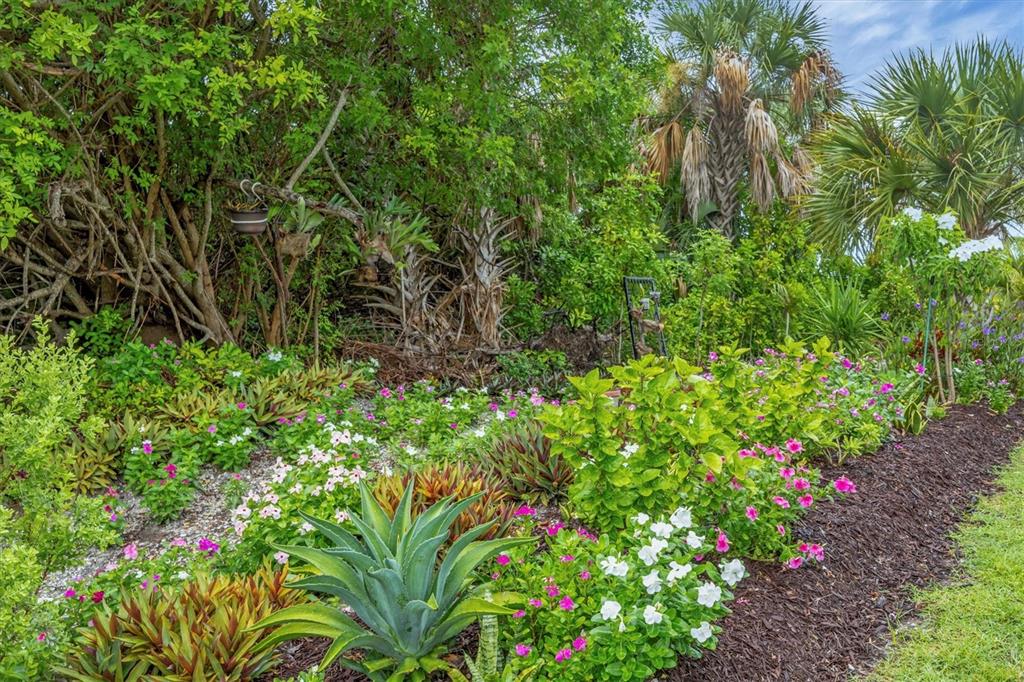 2694 Hopwood Road North Port, FL 34287 - Photo 37 of 56 a view of a garden with plants