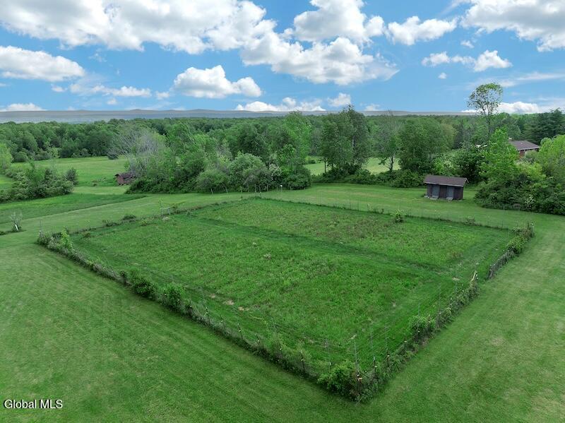 3109 Lake Road Delanson, NY 12053 - Photo 53 of 72 53) 72536-6a221350e554a
