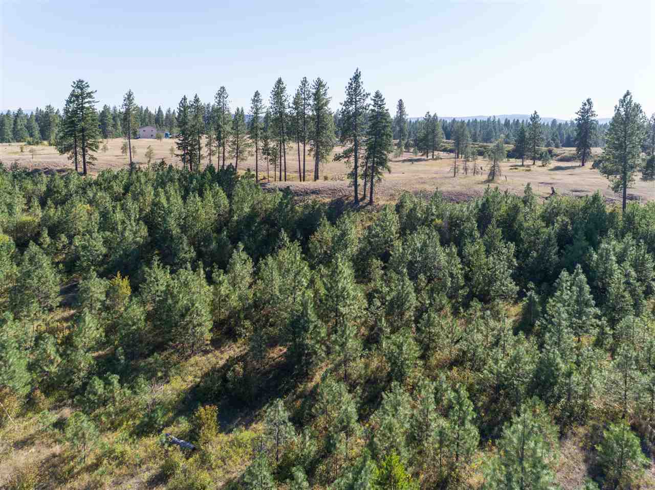 28107 North Perry Road Chattaroy, WA 99003 - Photo 14 of 16 Gallery Image 14