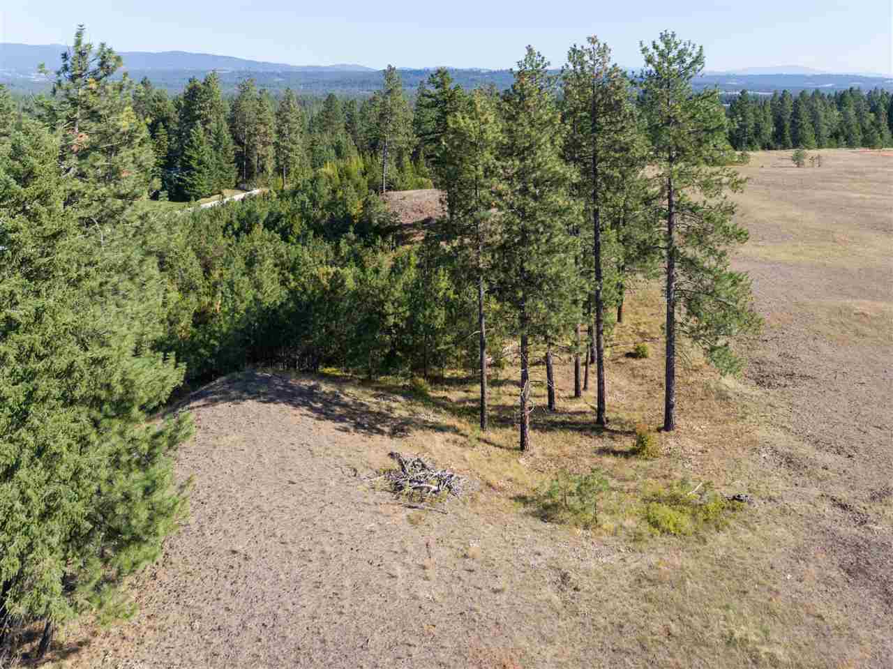 28107 North Perry Road Chattaroy, WA 99003 - Photo 8 of 16 Gallery Image 8