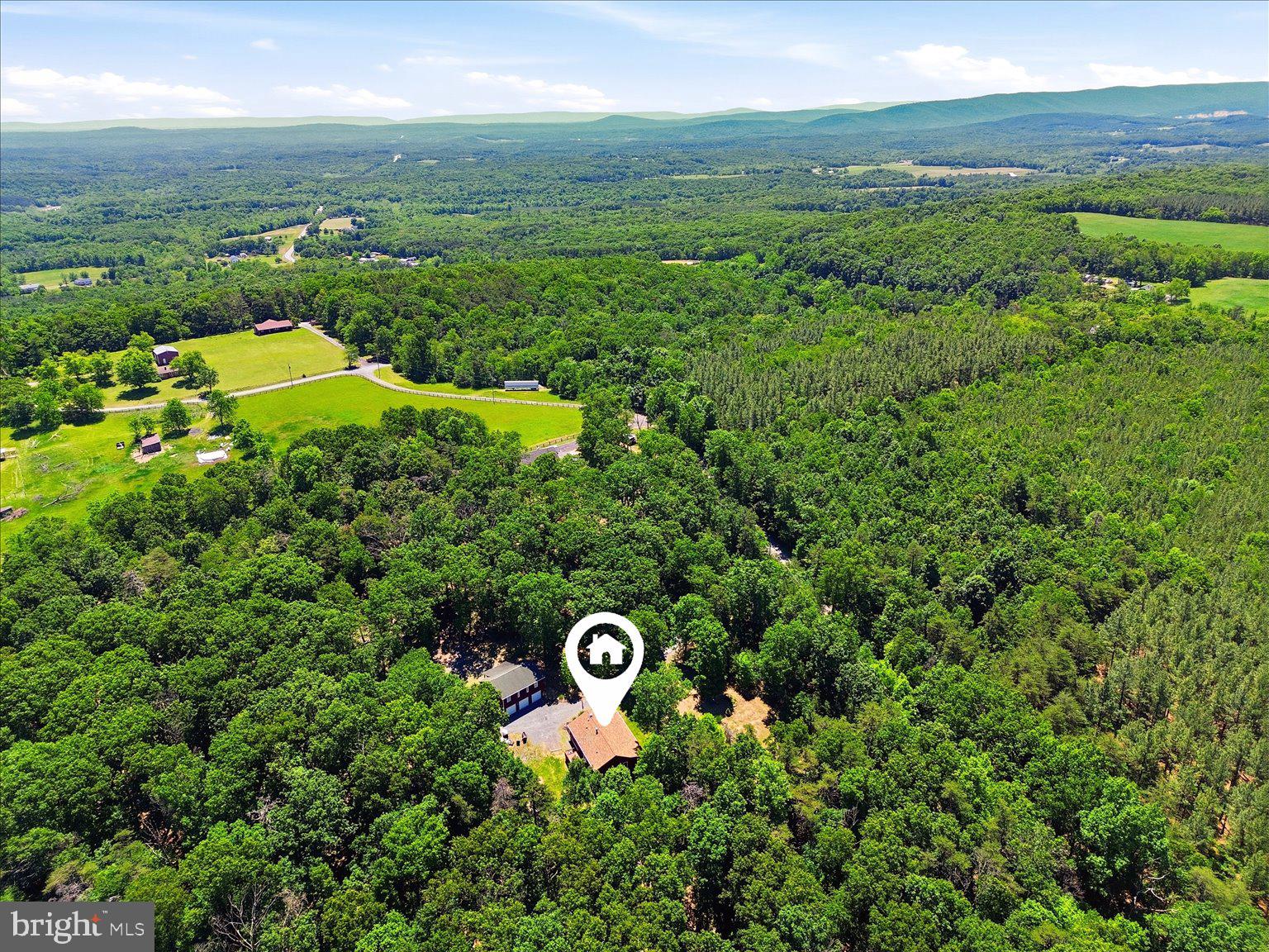 323 South Timber Ridge Road Cross Junction, VA 22625 - Photo 102 of 109 Secluded retreat amidst lush greenery.