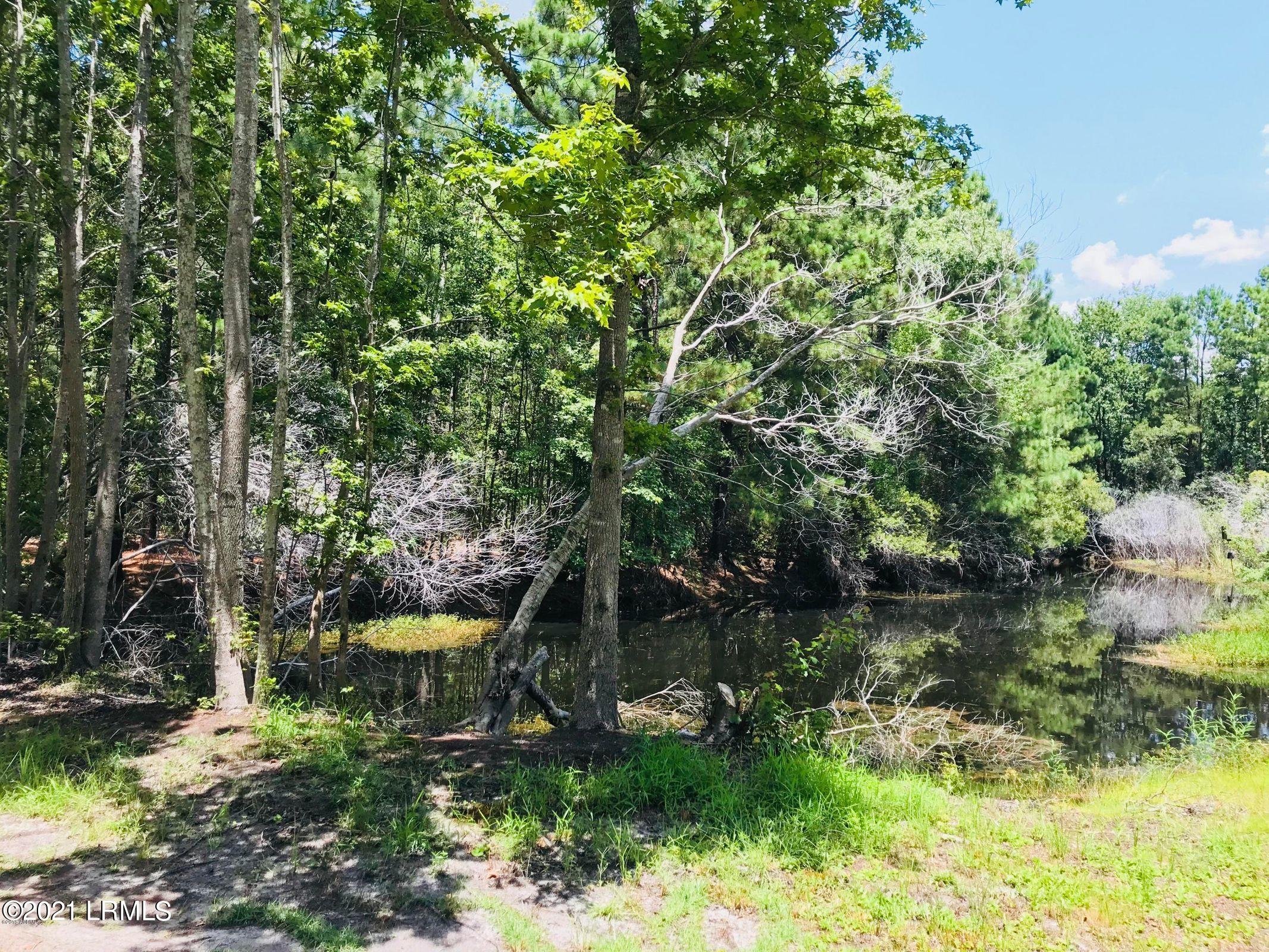0 1st Coleman Road St. Helena Island, SC 29920 - Photo 1 of 3 0 First Coleman Pond View