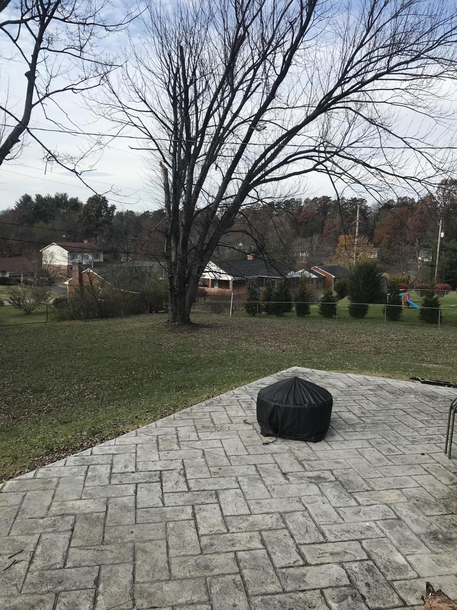 1949 Walmann Road Southwest Roanoke, VA 24018 - Photo 4 of 5 a view of outdoor space with garden