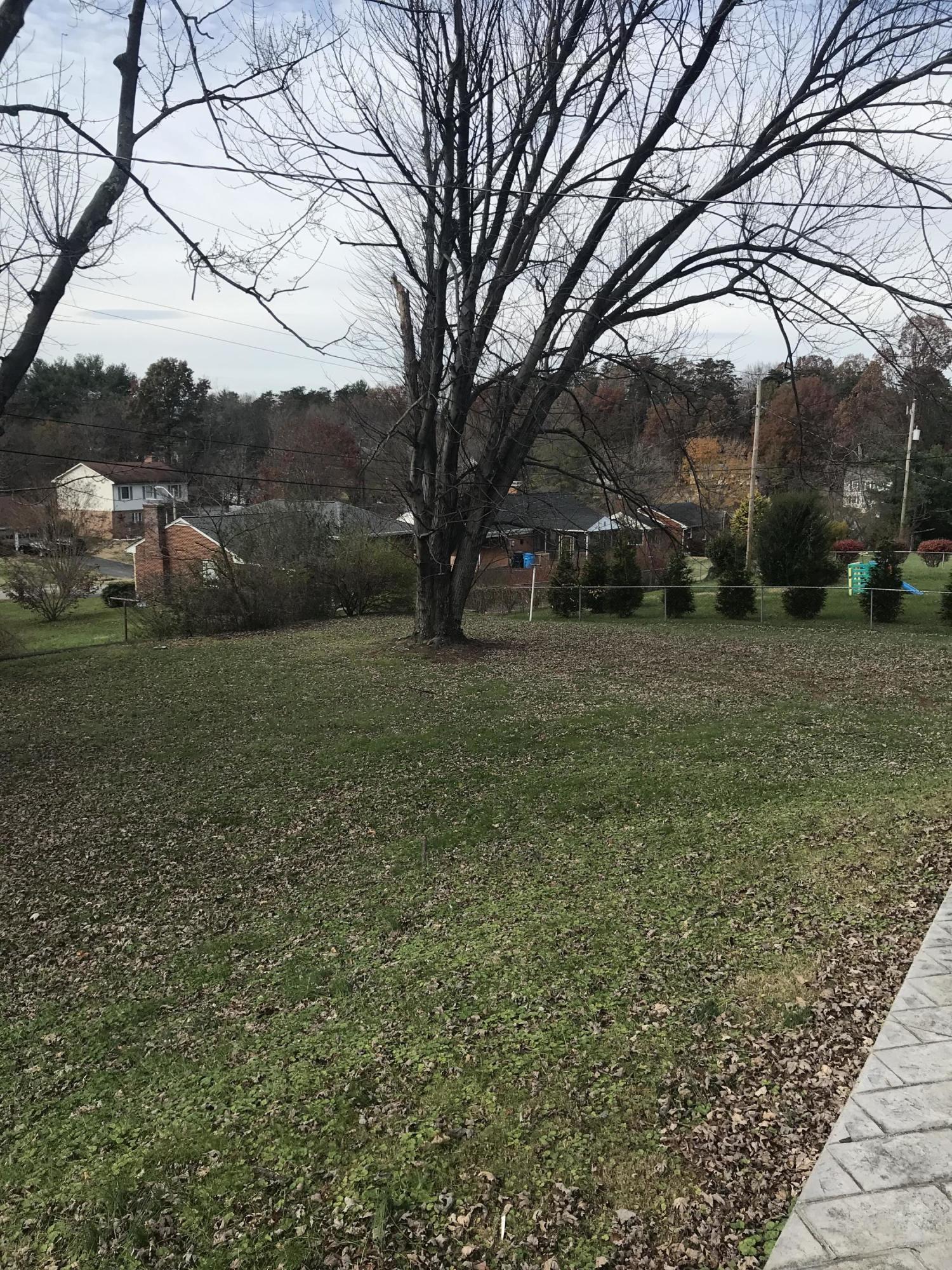1949 Walmann Road Southwest Roanoke, VA 24018 - Photo 5 of 5 a view of a field with trees
