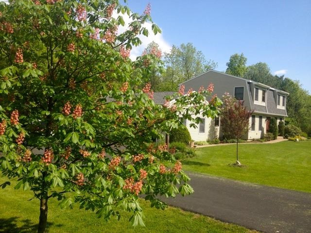 785 Riverview Road Rexford, NY 12148 - Photo 3 of 25 Photo 3