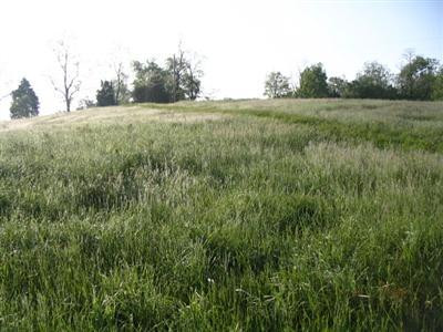 1635 Bonds Mill Road Lawrenceburg, KY 40342 - Photo 8 of 9 Photo 8