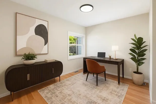 a living room with furniture flowerpot and a potted plant