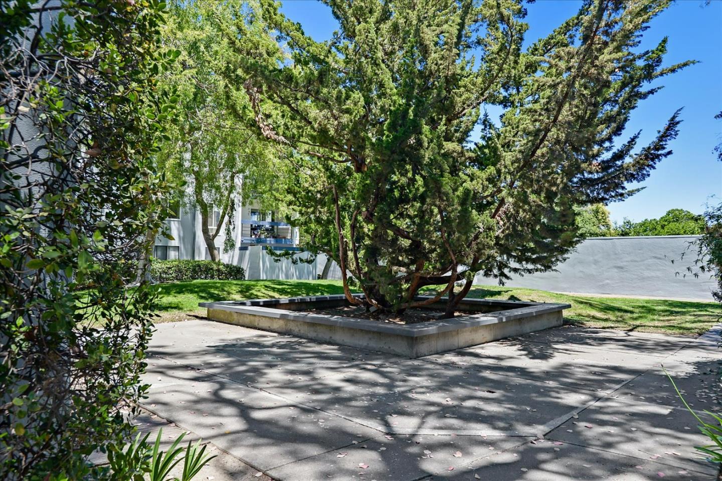1033 Shell Boulevard, Unit 3 Foster City, CA 94404 - Photo 32 of 33 a view of a street with a tree