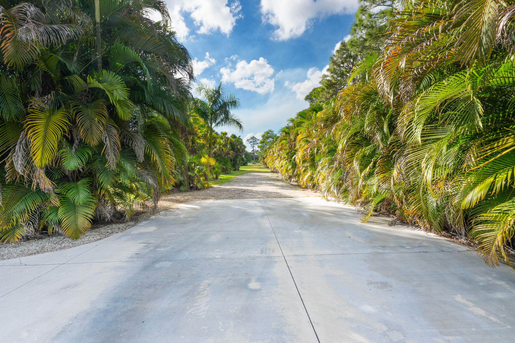3516 185th Trail Loxahatchee, FL 33470 - Photo 49 of 56 DSC00850