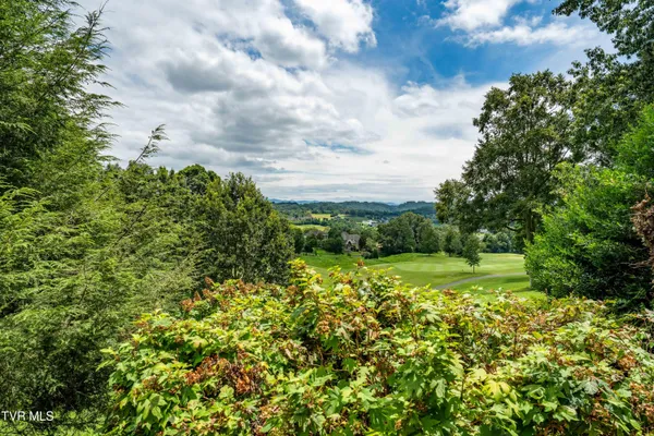 $1,550,000 | 105 Black Thorn Drive, Jonesborough, TN 37659