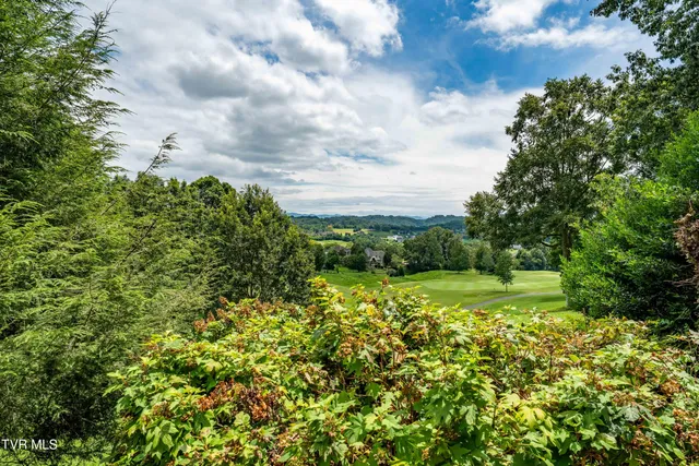 $1,650,000 | 105 Black Thorn Drive, Jonesborough, TN 37659