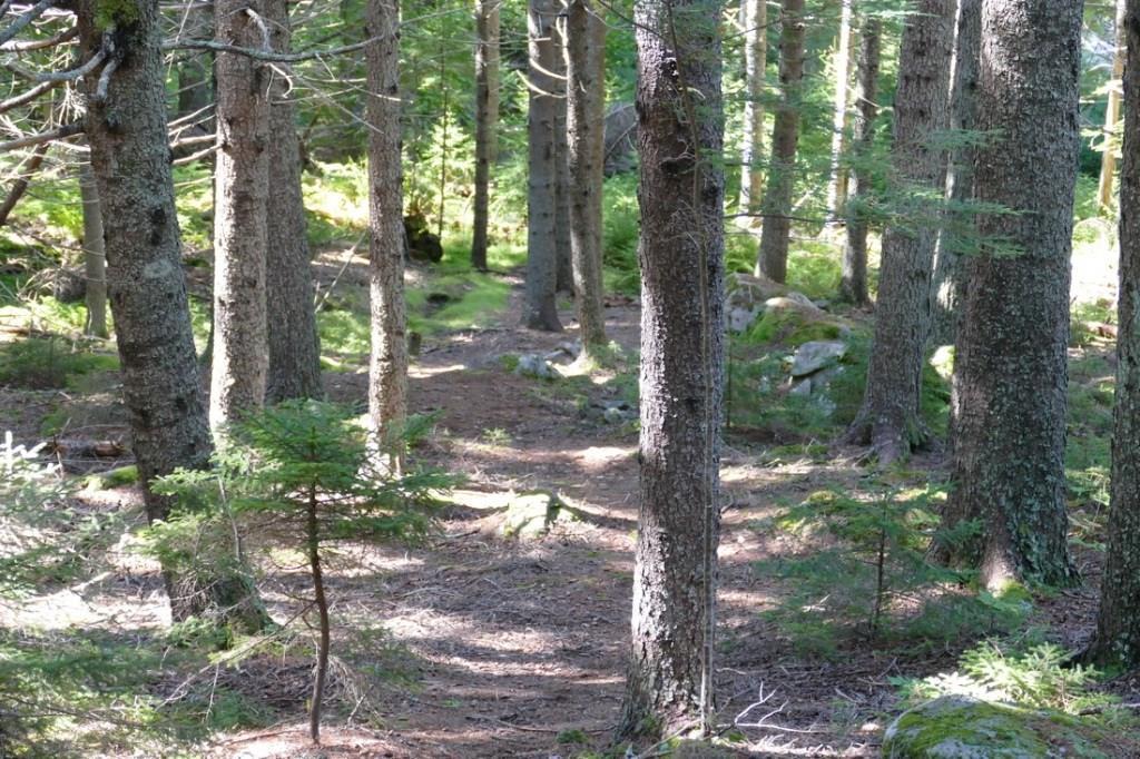 36 Blanchard Road Mount Desert, ME 04660 - Photo 23 of 30 Photo