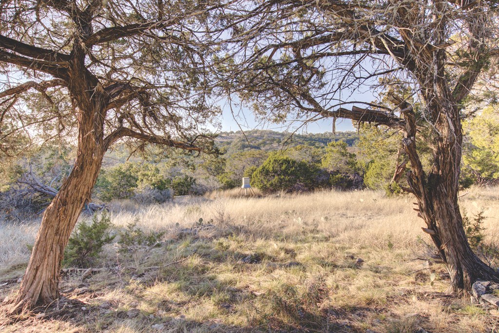 340 River Bend Road West, Unit 11B Hunt, TX 78024 - Photo 23 of 55