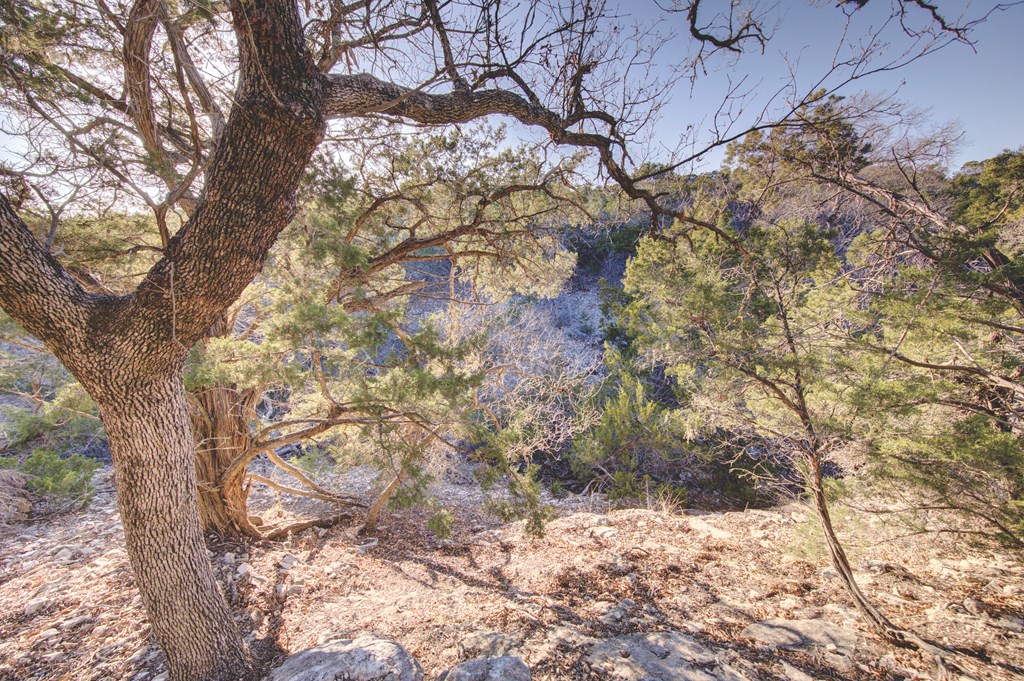340 River Bend Road West, Unit 11B Hunt, TX 78024 - Photo 27 of 55