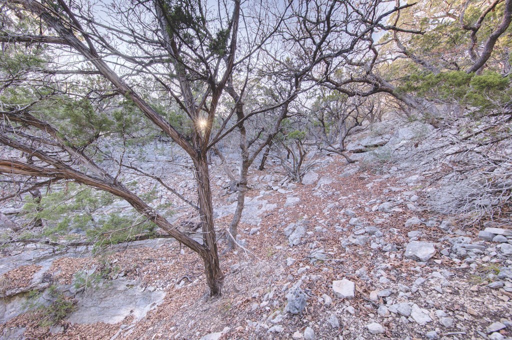 340 River Bend Road West, Unit 11B Hunt, TX 78024 - Photo 32 of 55