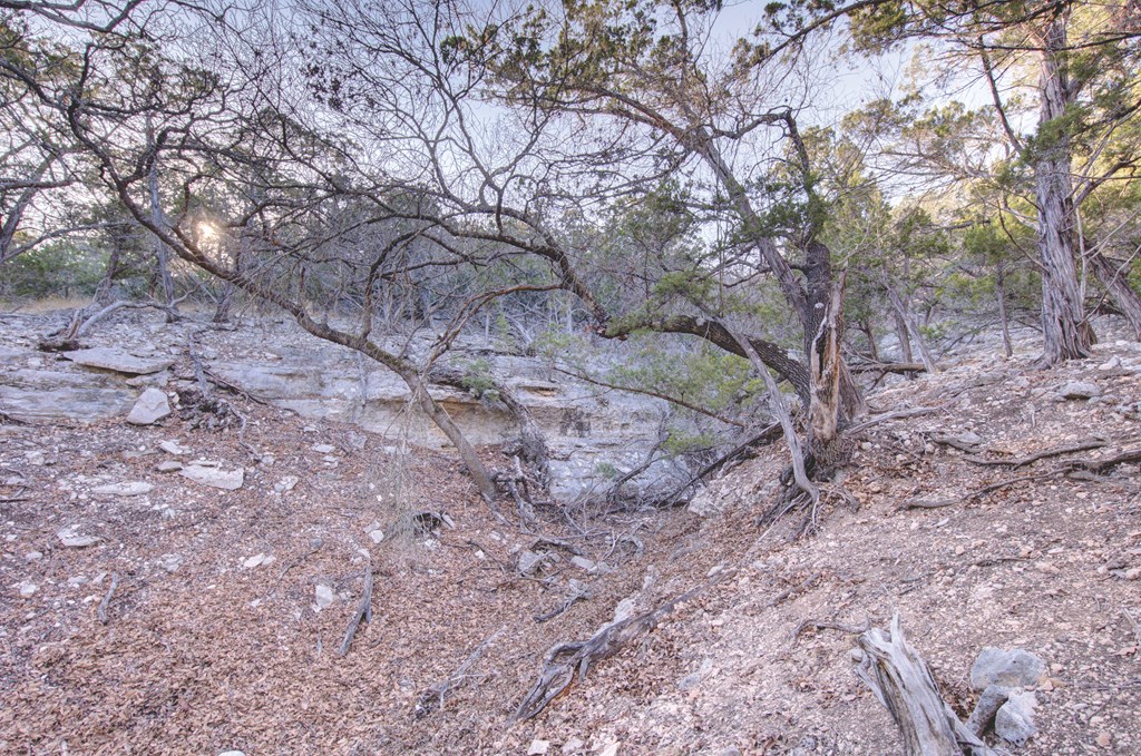 340 River Bend Road West, Unit 11B Hunt, TX 78024 - Photo 33 of 55