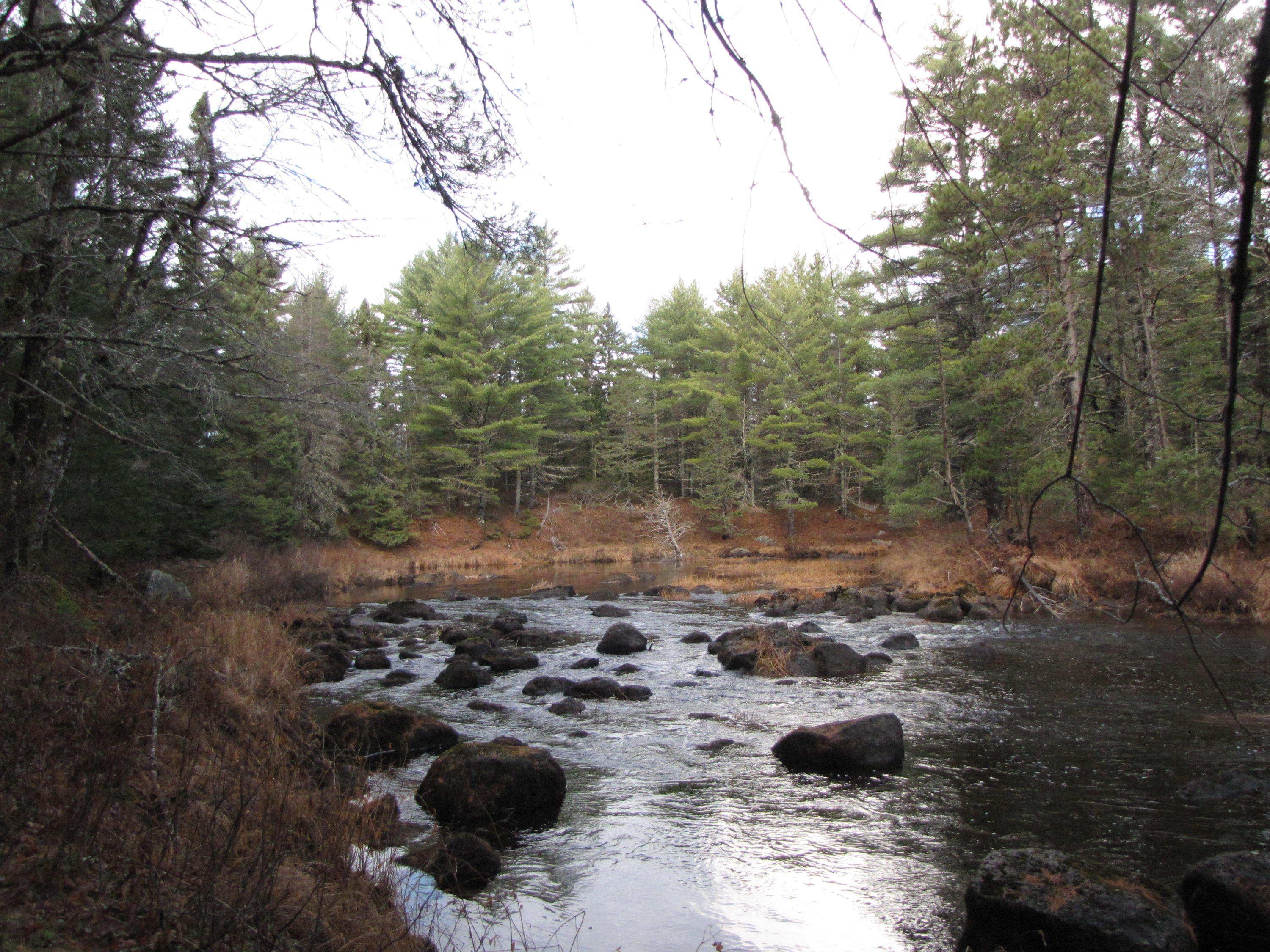 X X Off Ccc Road Machias, ME 04654 - Photo 16 of 57 IMG_1616