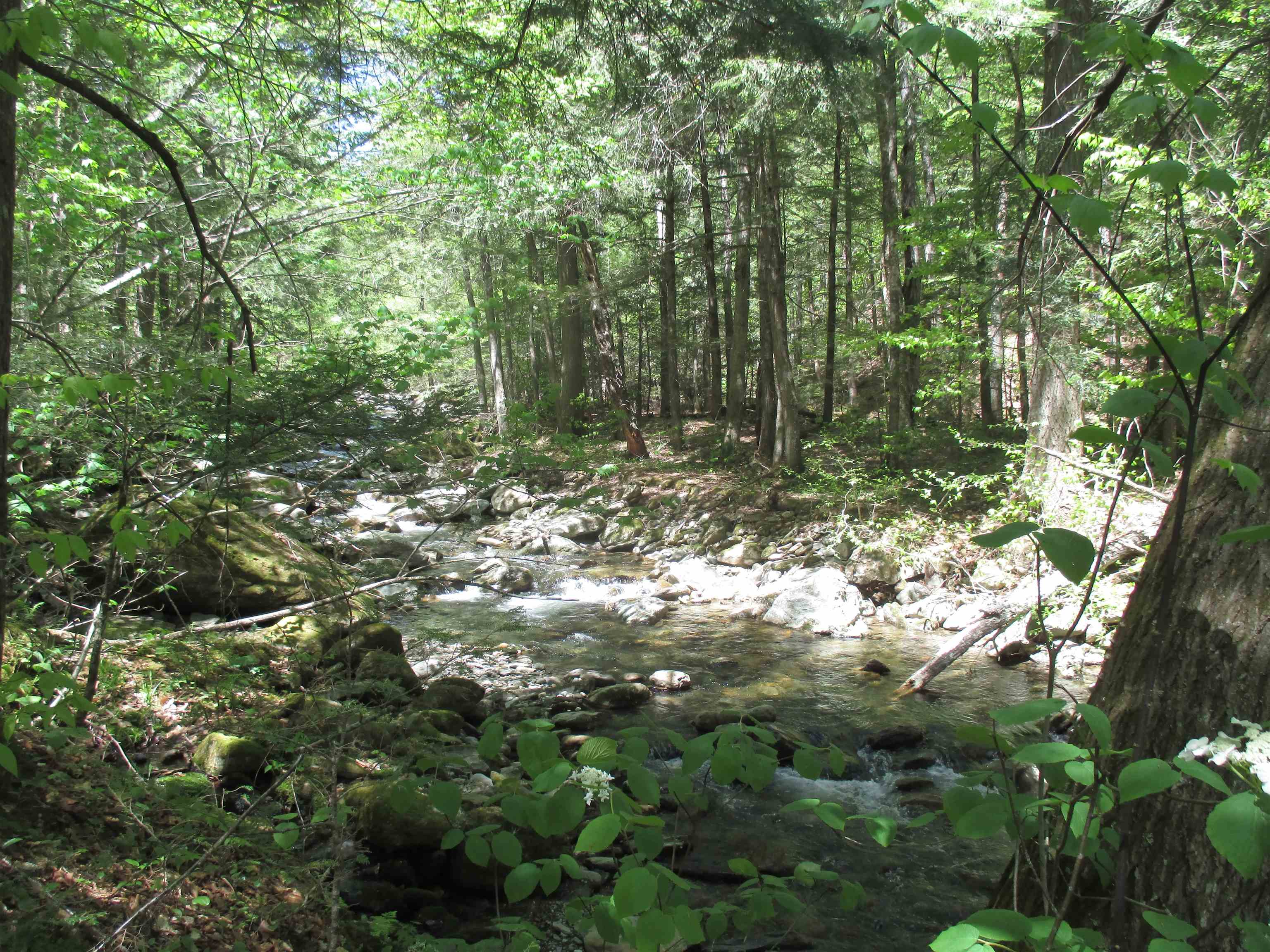 798 Ball Ground Road Westfield, VT 05874 - Photo 12 of 17